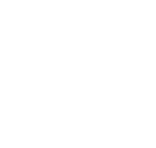 LAN network