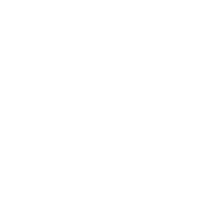 Network camera
